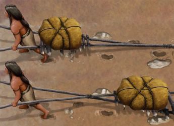 20,000-Year-Old Transport Marks in New Mexico Reveal Early American Mobility