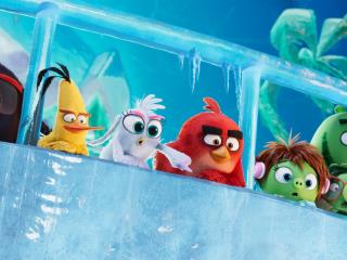 Amazon Prime Video January 2020 Releases: Star Trek: Picard, The Angry Birds Movie 2, and More