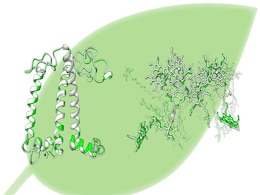 Scientists Reveals New Method to Analyse 3D Structure of Artificial Photosynthetic Antenna Scientists Reveals New Method to Analyse 3D Structure of Artificial Photosynthetic Antenna