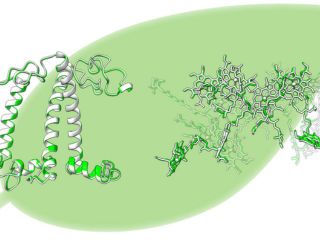 Scientists Reveals New Method to Analyse 3D Structure of Artificial Photosynthetic Antenna