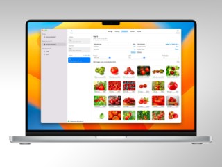 Apple Releases Open Source MLX Framework for Efficient Machine Learning on Apple Silicon