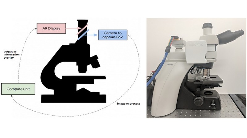Google Researchers Develop an AR Microscope for Cancer Detection