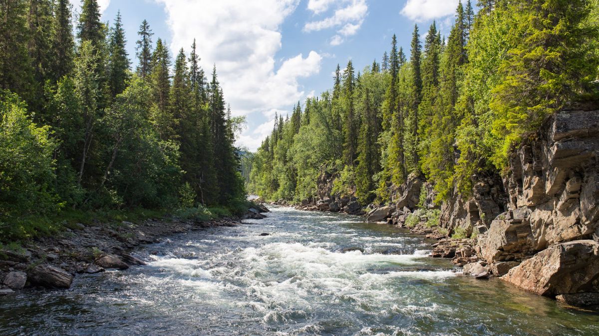 Massive Water Reservoir Discovered Beneath Oregon Cascades, Twice the Size of Lake Mead