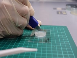 Scientists Inspired by Star Wars Develop Artificial Skin Capable of Recreating Sense of Touch Scientists Inspired by Star Wars Develop Artificial Skin Capable of Recreating Sense of Touch