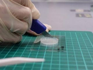 Scientists Inspired by Star Wars Develop Artificial Skin Capable of Recreating Sense of Touch