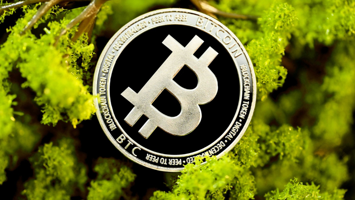 Arya.ag Plans to Tokenise Grain Ownership Records on Avalanche
