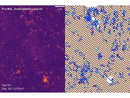 First-Ever Images of Atoms Moving in Liquid Captured by Transmission Electron Microscope First-Ever Images of Atoms Moving in Liquid Captured by Transmission Electron Microscope