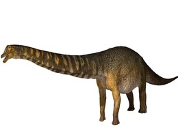 Dinosaur Discovered in Australia Identified as New Species, Could Be One of the Largest of Its Kind Dinosaur Discovered in Australia Identified as New Species, Could Be One of the Largest of Its Kind