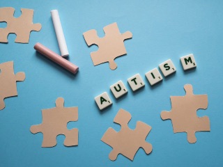 Neuroscientists Unravel Link Between Individual Differences in Brain Anatomy and ASD Symptoms