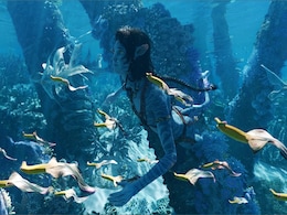 Avatar: The Way of Water Is Now the Biggest Hollywood Movie in India, With Over Rs. 454 Crore at Box Office Avatar: The Way of Water Is Now the Biggest Hollywood Movie in India, With Over Rs. 454 Crore at Box Office