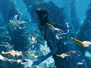 Avatar: The Way of Water Is Now the Biggest Hollywood Movie in India, With Over Rs. 454 Crore at Box Office