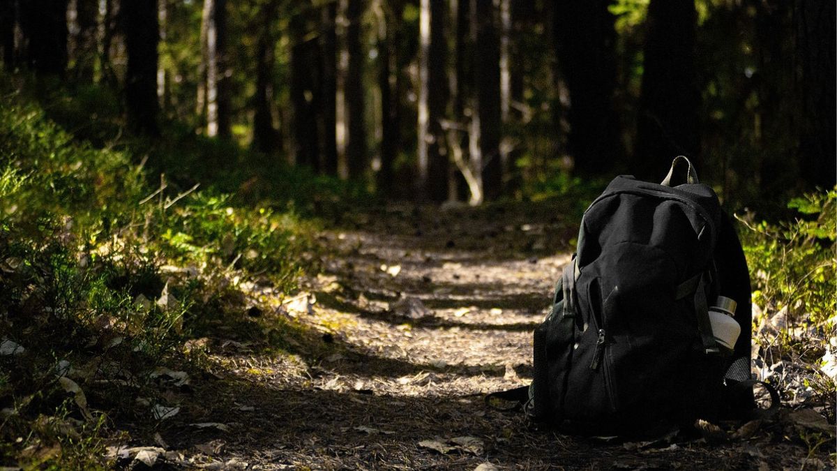 Top Backpacks Under ₹1000 on Myntra: For Office, Travel, and Daily Commutes