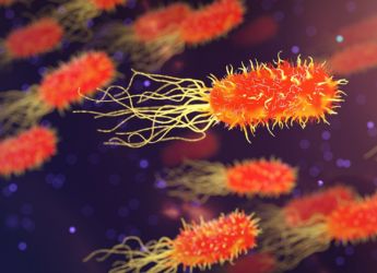 Scientists Find Wastewater Bacteria That Break Down PET Plastic, Aiding Pollution Control