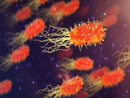 Scientists Find Wastewater Bacteria That Break Down PET Plastic, Aiding Pollution Control Scientists Find Wastewater Bacteria That Break Down PET Plastic, Aiding Pollution Control