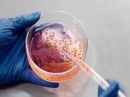 Scientists Develop New Compound That May Help Fight Elusive Cancer Types Scientists Develop New Compound That May Help Fight Elusive Cancer Types