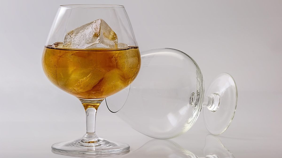 Myntra Sale 2025: The Ultimate Guide to Best Barware Collection