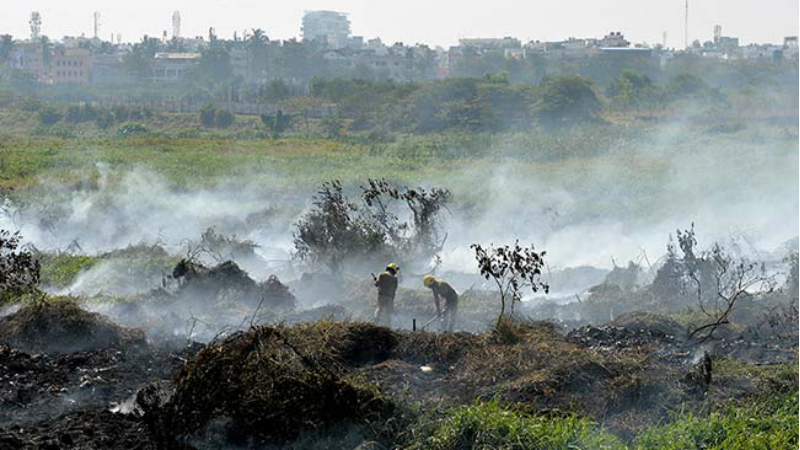 India's Silicon Valley Faces Man-Made Water Crisis