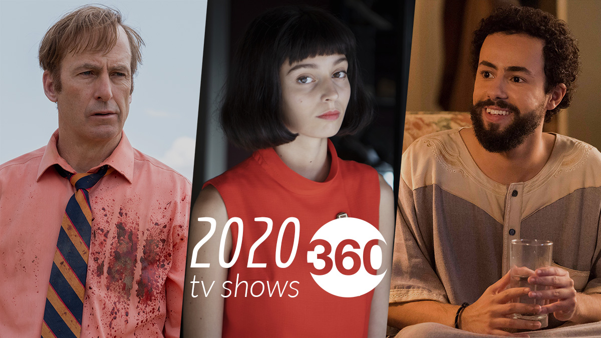 The 10 Best Web Series and TV Shows of 2020