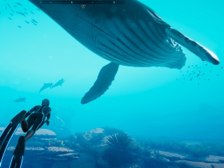 Beyond Blue on Apple Arcade Lets You Discover the Wonders of the Oceans From the Comfort of Your Home