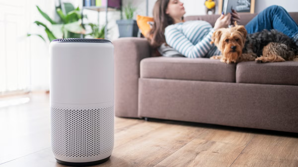 Which Are the Best Air Purifier Brands in India? 2025s Trusted Names Revealed!