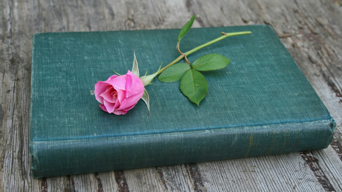 8 Must-Read Romance Books: From Classic Poetry to Modern Bestsellers