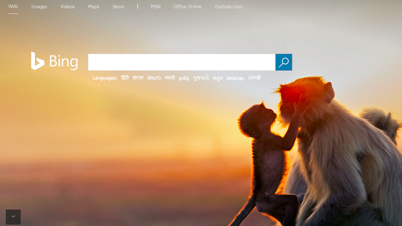 Microsoft Removes Fake Bing Ad for Chrome That Potentially Contained Malware