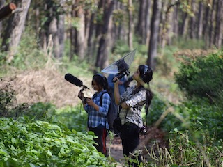 Nature&rsquo;s Radio: Listening to Birds Singing to My Microphone