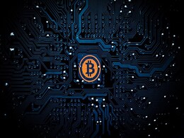 Bitcoin Wallet Devices Vulnerable to Security Hacks: Study Bitcoin Wallet Devices Vulnerable to Security Hacks: Study
