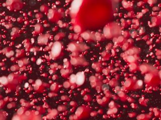 Scientists Test Nanorobots to Treat Brain Aneurysms