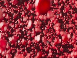 Scientists Test Nanorobots to Treat Brain Aneurysms Scientists Test Nanorobots to Treat Brain Aneurysms