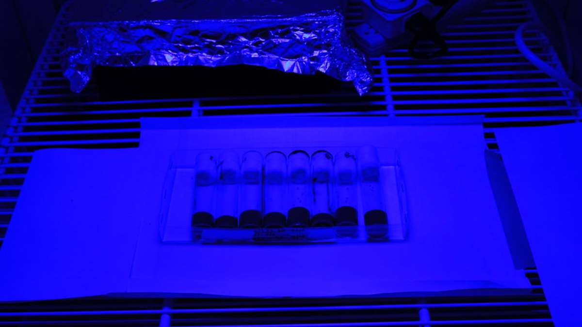 Blue Light Exposure From LEDs Harms More as You Grow Older, Study Suggests