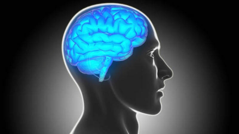 Brain Training App Said to Improve Memory in People With Cognitive Decline