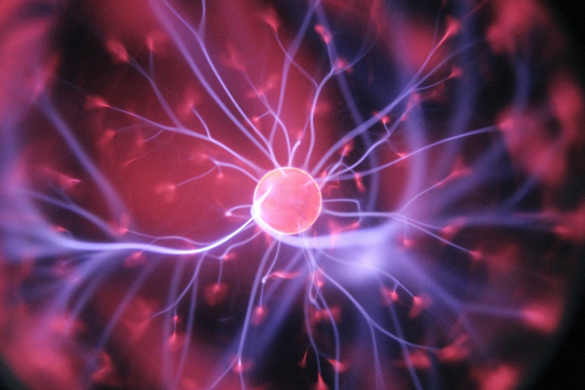 Scientists Find New Brain Mechanism That Could Help Manage Substance Abuse
