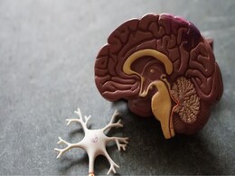 COVID-19 Virus’ Link That Potentially Increases Brain Infection Risk Found, Claims Study COVID-19 Virus’ Link That Potentially Increases Brain Infection Risk Found, Claims Study
