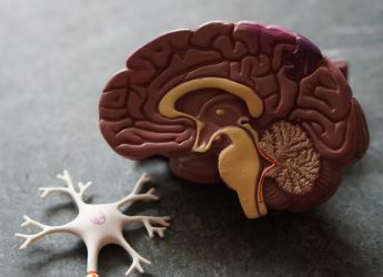 COVID-19 Virus&rsquo; Link That Potentially Increases Brain Infection Risk Found, Claims Study