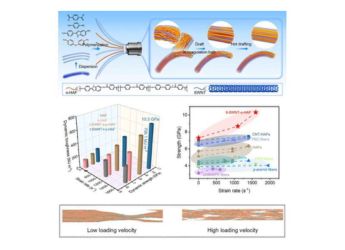 Scientists Create Bullet-Proof Fiber Stronger and Thinner Than Kevlar