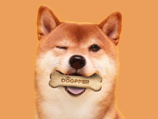Burger King Starts Accepting Dogecoin in Brazil &mdash; but Only for Dog Treats