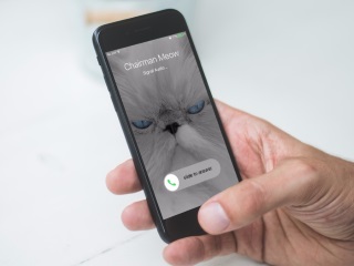 Signal Private Messenger Gets Video Calling, Improved Voice Infrastructure