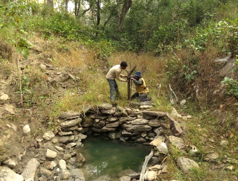 camera trap tara wildlife