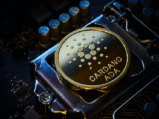 Cardano Foundation Partners Dubai-Based SEE Institute to Introduce Diploma in Sustainable Blockchain &nbsp;