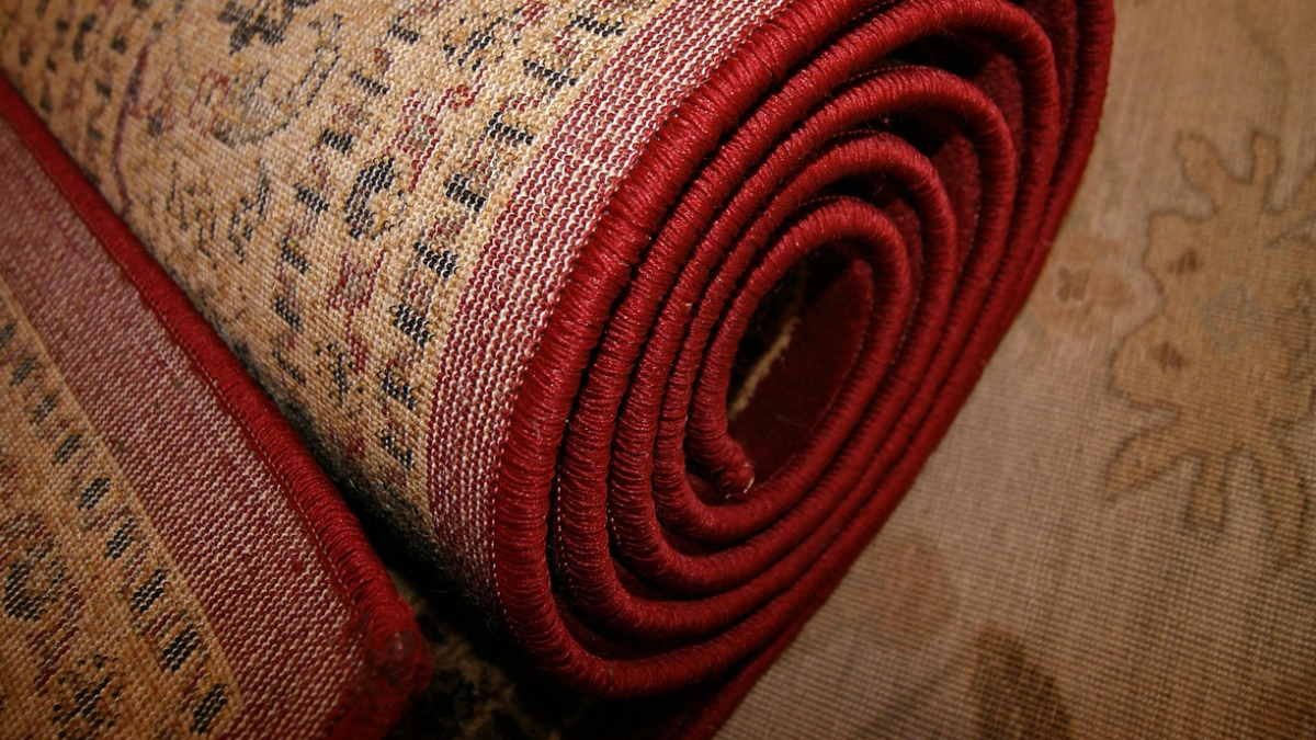 Myntra's Designer Carpets For Home: Where Softness Meets Your Feet Myntra's Designer Carpets For Home: Where Softness Meets Your Feet