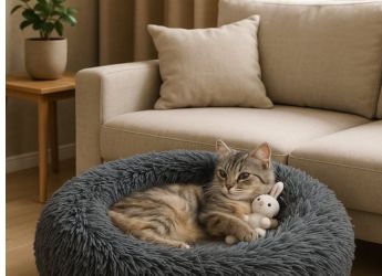 5 Best Cat Beds For Winter: Designed For Warm & Cosy Sleep!