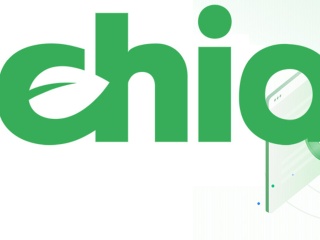 Chia, Bitcoin&#039;s &#039;Green&#039; Rival, is Said to Be Causing Hard Drive Shortages in Asian Markets