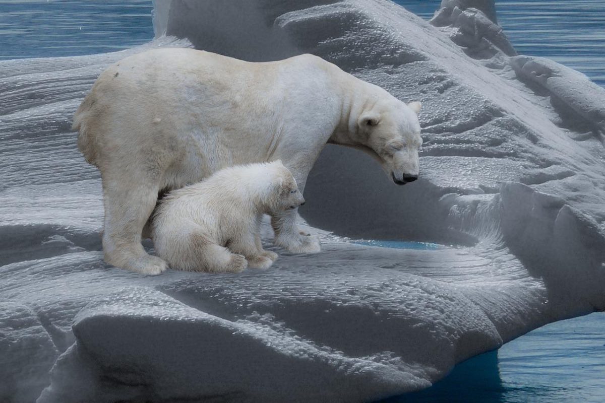 Climate Change's Harsh Reality Is Making the Weather Worse for People Across Globe as Temperature Rises