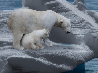 Climate Change&#039;s Harsh Reality Is Making the Weather Worse for People Across Globe as Temperature Rises