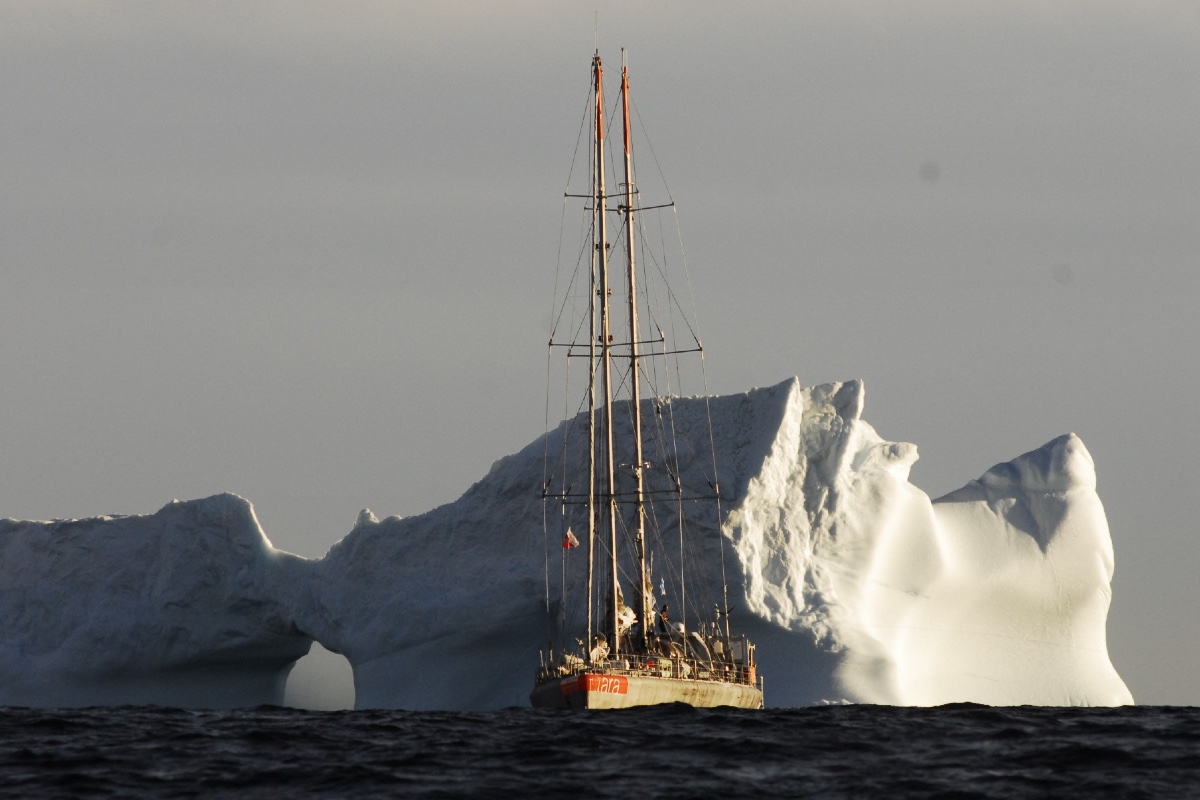 New Study Reveals How Marine Viruses May Aid in Mitigation of Climate Change