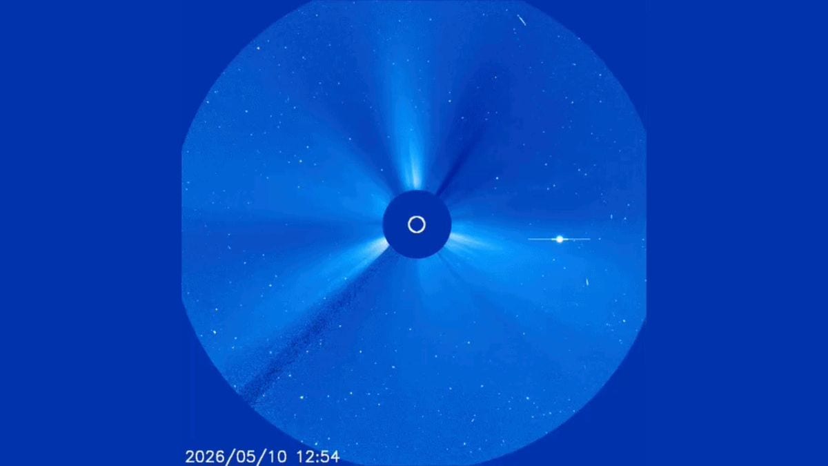 Sun Erupts with Powerful Solar Flare, Sending Plasma Toward Earth