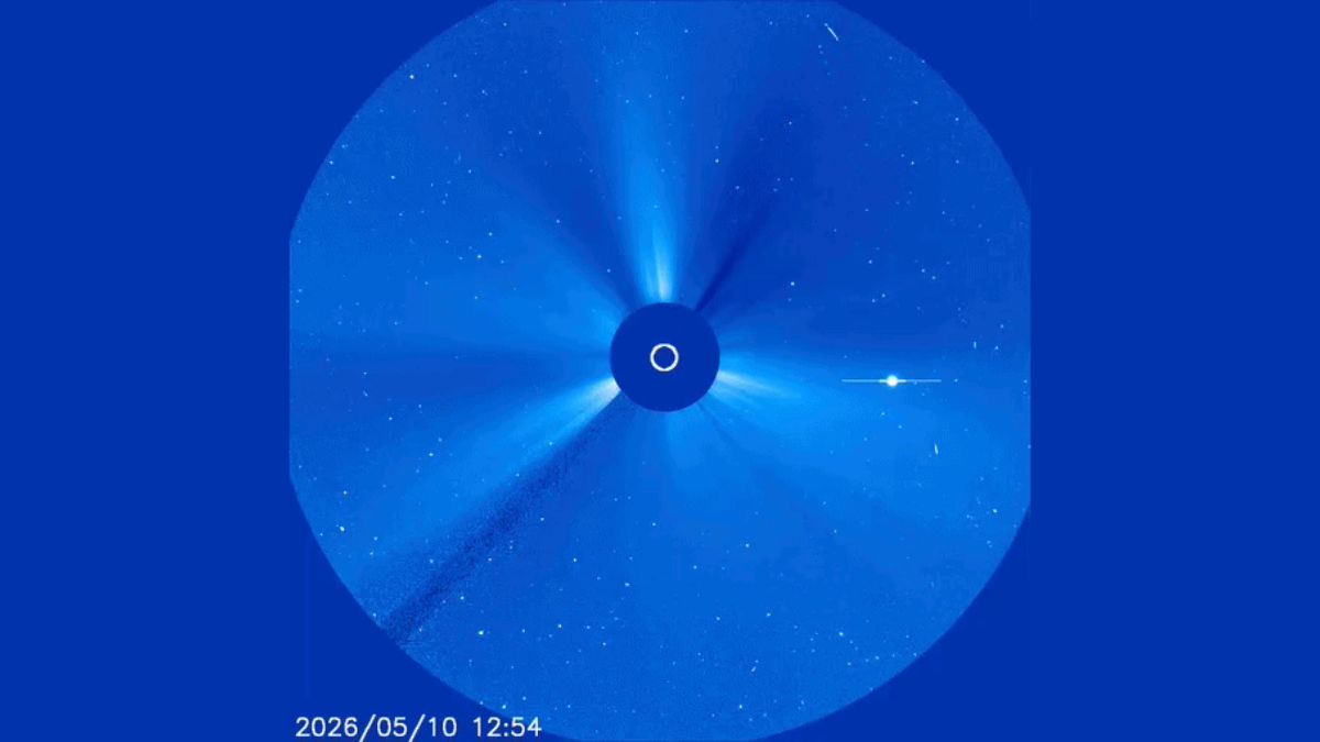 Sun Erupts with Powerful Solar Flare, Sending Plasma Toward Earth