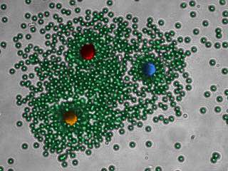 Life-Like Self-Organising Laser Can Mimics Living Materials, Reconfigures in Changing Conditions