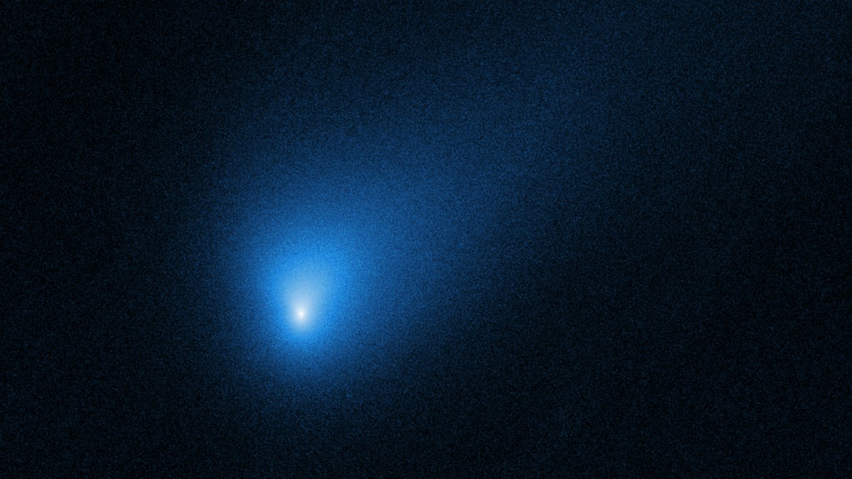 Interstellar Gatecrasher 2I/Borisov Is No Ordinary Comet